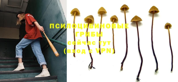 марки nbome Аркадак