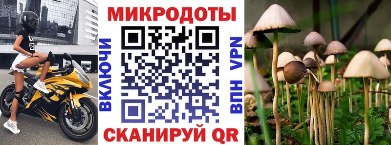 Псилоцибиновые грибы мухоморы Павлово