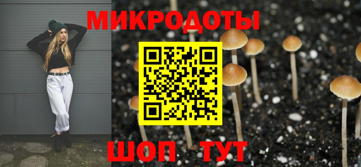 Псилоцибиновые грибы Psilocybine cubensis  Вход с VPN  купить наркотик  Павлово 