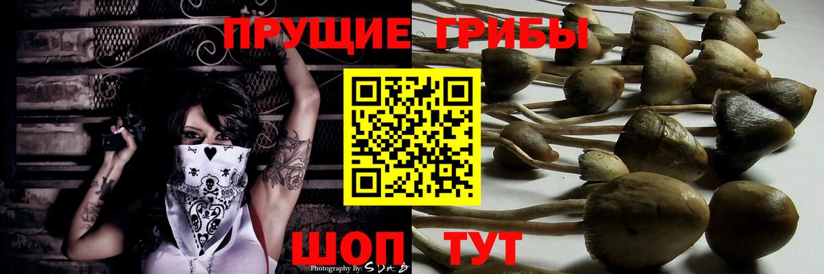 Галлюциногенные грибы мухоморы Павлово