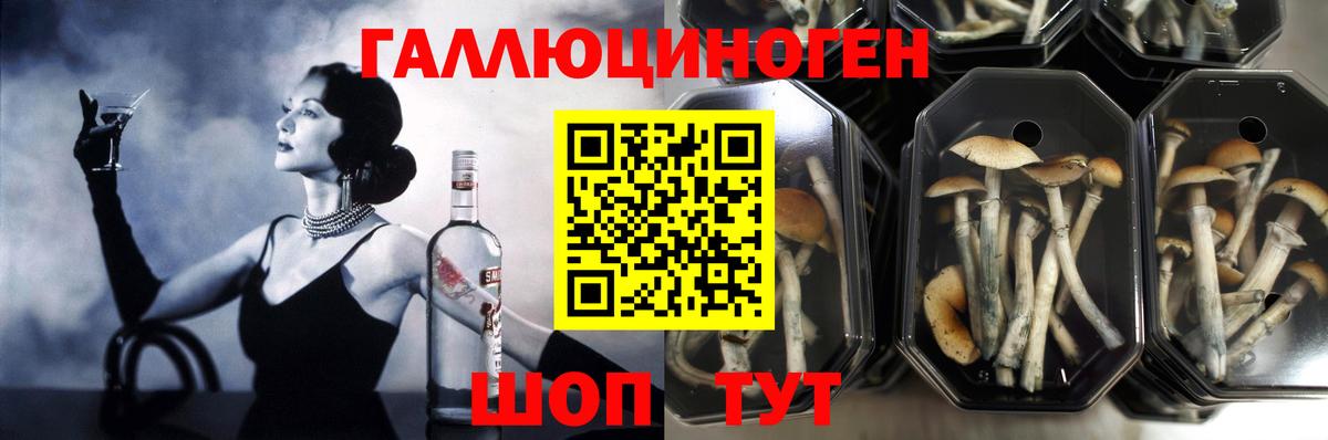 Псилоцибиновые грибы Magic Shrooms Павлово